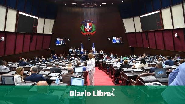 Los 15 candidatos elegidos para la Cámara de Cuentas