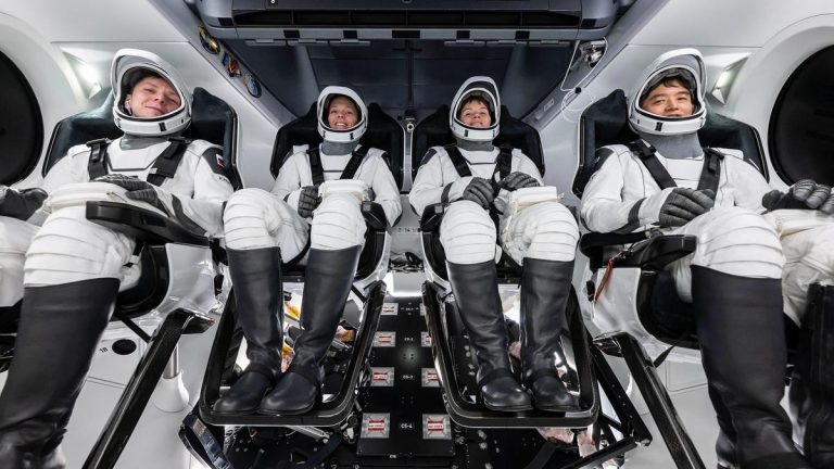 Crew-10&apos;s Kirill Peskov, Nichole Ayers, Anne McClain, and Takuya Onishi