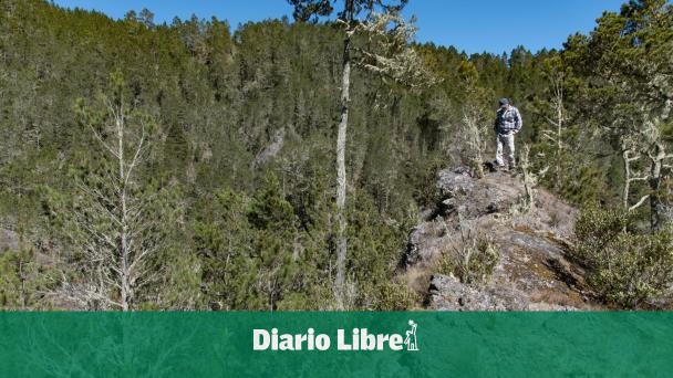 Propietarios de tierras en Valle Nuevo denuncian retraso en subsidio