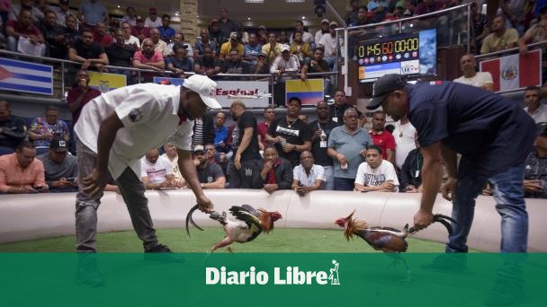 RD es destino internacional para peleas de gallos