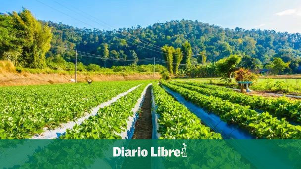 Refuerzan búsqueda de casos de malaria en fincas y entre migrantes