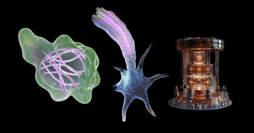 Un nuevo estudio sugiere que el cuerpo humano podría procesar información cuántica más rápido y con mayor eficiencia que las computadoras más avanzadas del mundo