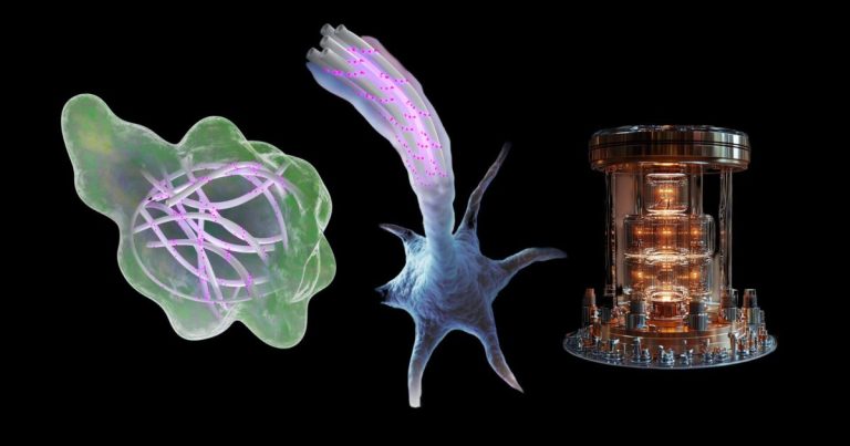 Un nuevo estudio sugiere que el cuerpo humano podría procesar información cuántica más rápido y con mayor eficiencia que las computadoras más avanzadas del mundo