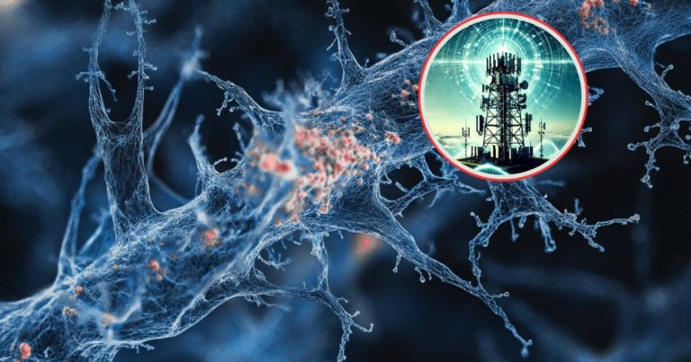 caben 500 en el grosor de un cabello humano y podría transformar las telecomunicaciones hasta límites insospechados