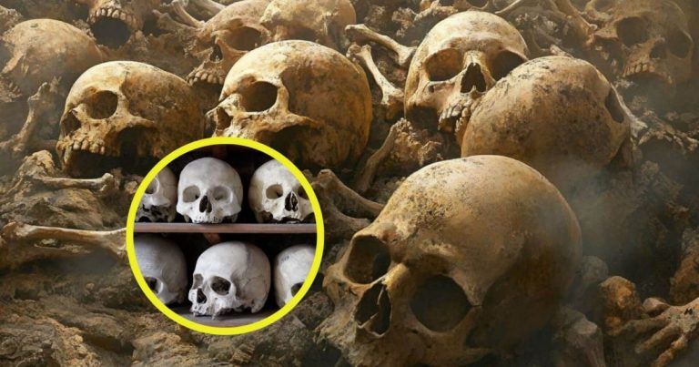 cómo la antropología forense reconstruye el pasado
