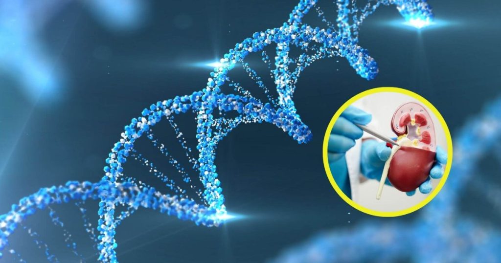 descubren cómo activar virus latentes en el ADN para estimular la respuesta inmune
