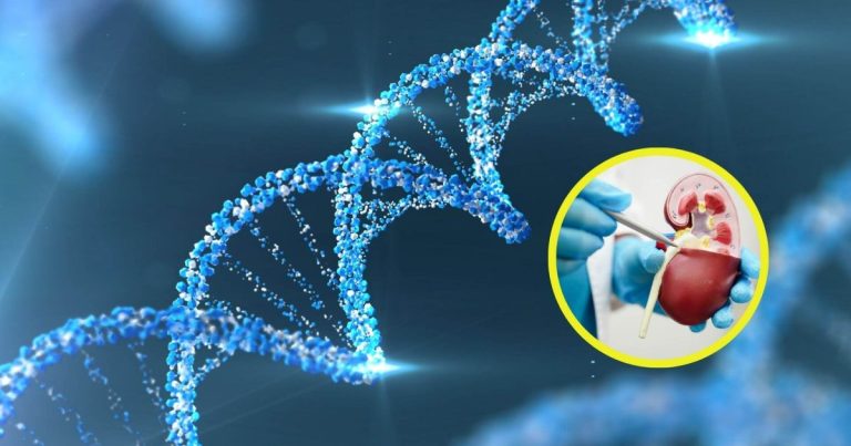 descubren cómo activar virus latentes en el ADN para estimular la respuesta inmune