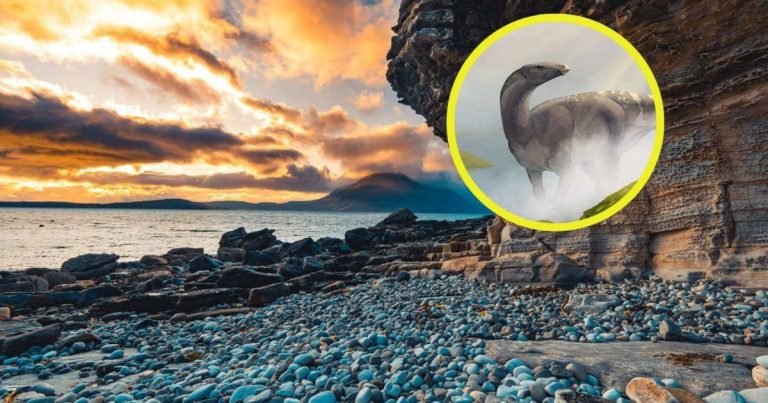 descubren en Escocia un dinosaurio del tamaño de un poni que vivió hace 166 millones de años y reescribe la historia del Jurásico