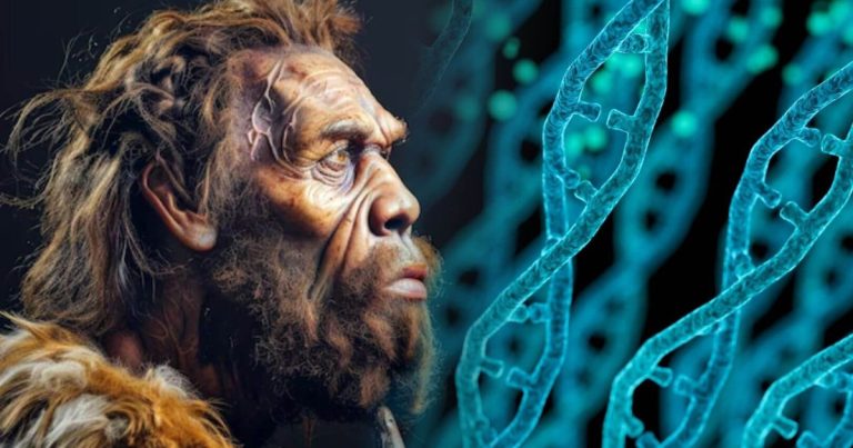 hace 300.000 años Homo sapiens surgió de la unión de dos poblaciones desconocidas, anteriores a los neandertales