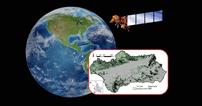 la tecnología de la NASA lo revela con un análisis de 28 años de imágenes de satélite