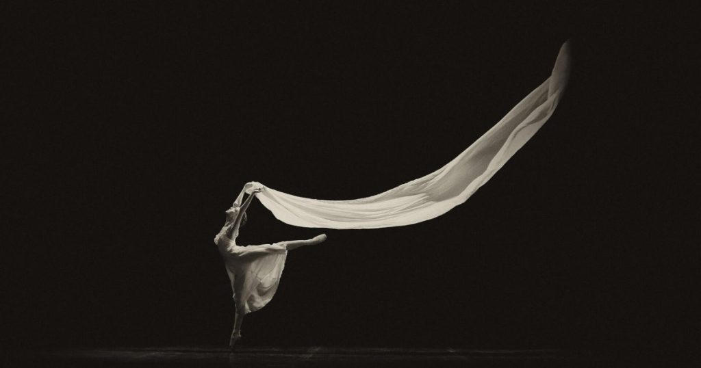 paradojas de las historias en danza