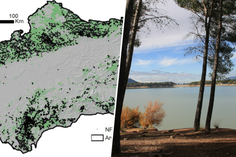pese a ser una de las zonas más afectadas por la desertificación, es más verde que hace 30 años
