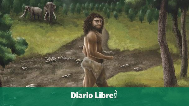 Desucubren mandíbula antigua de hombre denisovano