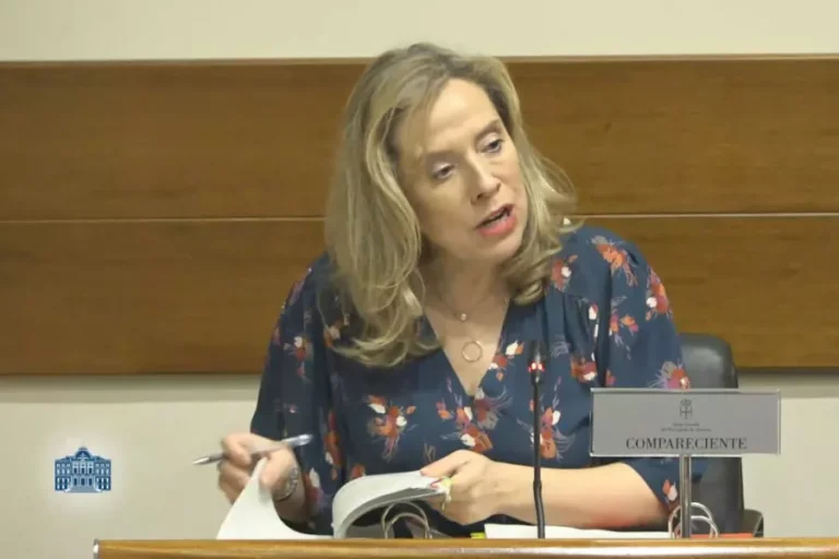 Dimite la consejera de Transición Ecológica de Asturias, en el foco por el accidente en la mina de Cerredo: "No voy a ser un obstáculo para la investigación"