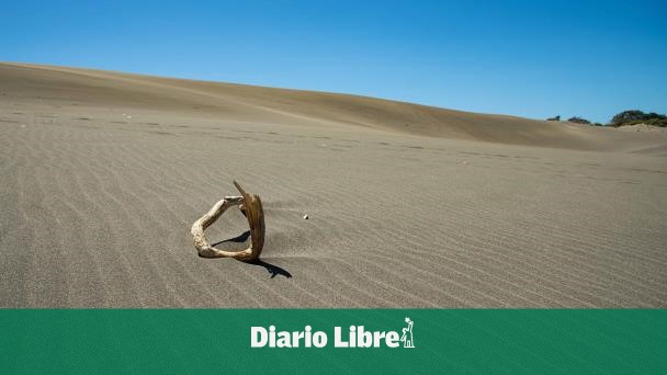 Dunas de Baní: ¿Qué ha pasado con medidas para su protección?