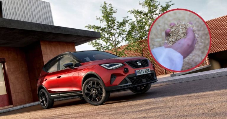 El coche que integra piezas fabricadas con cáscara de arroz