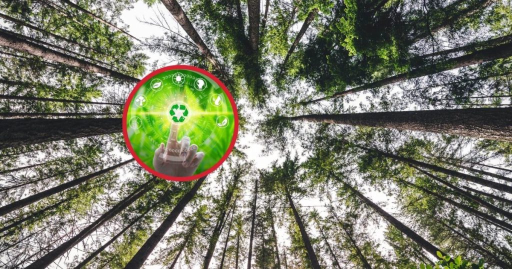 El impacto de la regulación europea de transparencia corporativa en la innovación medioambiental: consecuencias inesperadas
