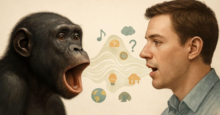 Este estudio con bonobos demuestra que el lenguaje no es solo humano y podría tener 7 millones de años de antigüedad
