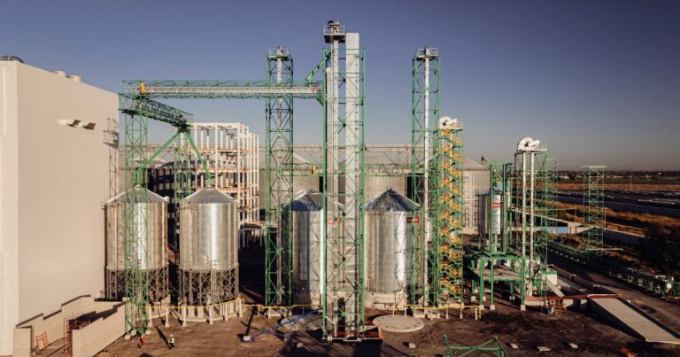 Millfoods lidera la agroindustria con la molienda en seco de maíz no transgénico
