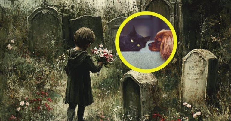 más de 70000 mascotas entre las que se cuentan grandes estrellas peludas del cine