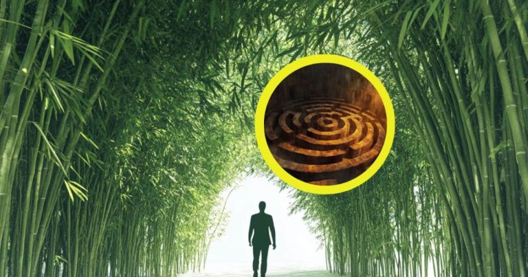 más de 9 kilómetros de senderos para perderse entre la vegetación